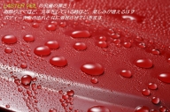 LasterVeil α PULS (アルファ・プラス)